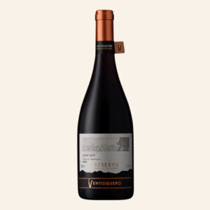 Ventisquero Pangea Pinot Noir